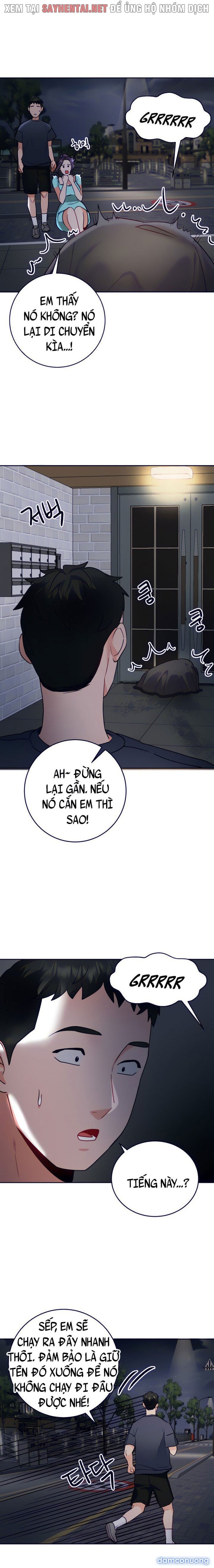 Công Việc Làm Thêm 