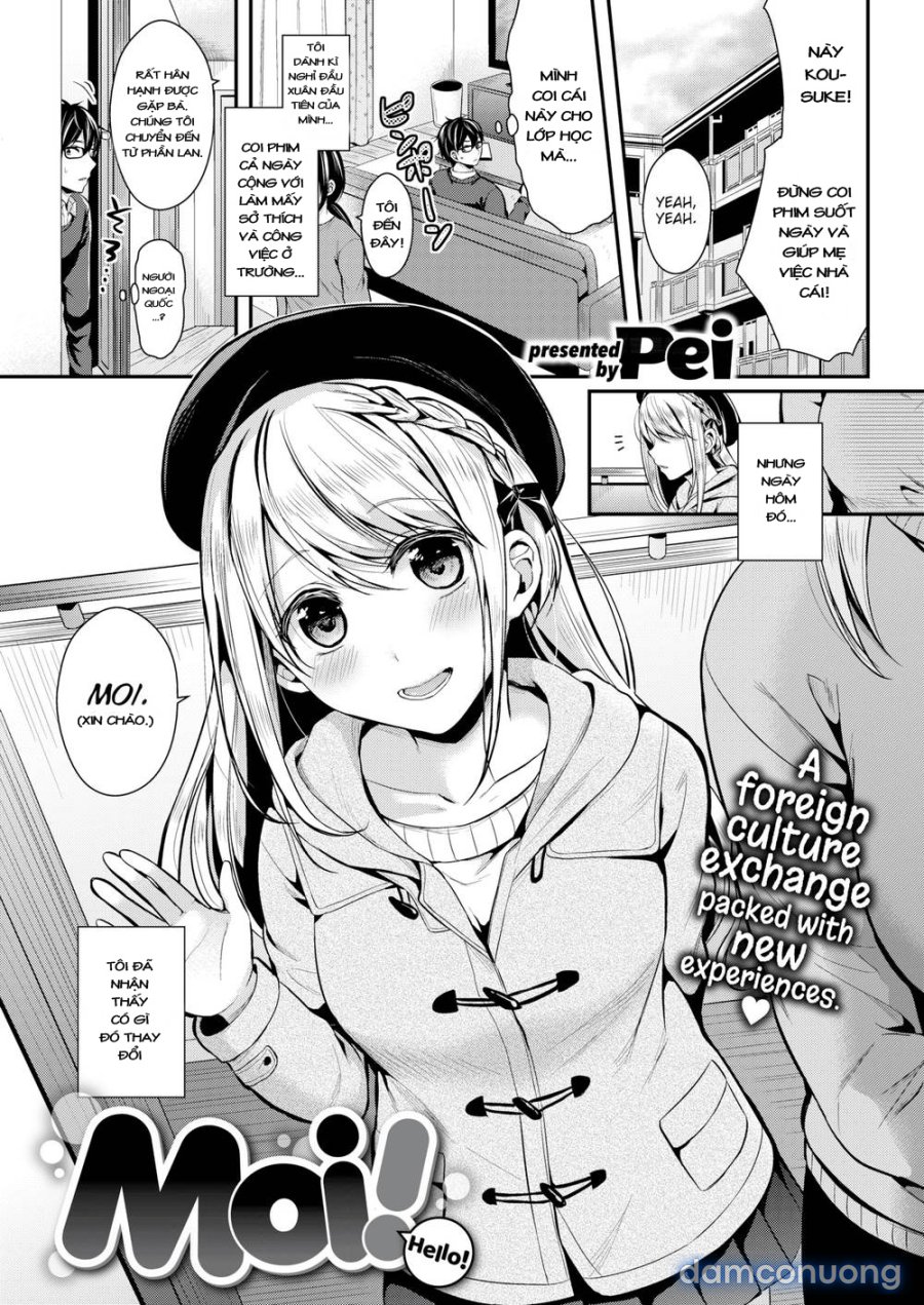 Hajirai Honey 