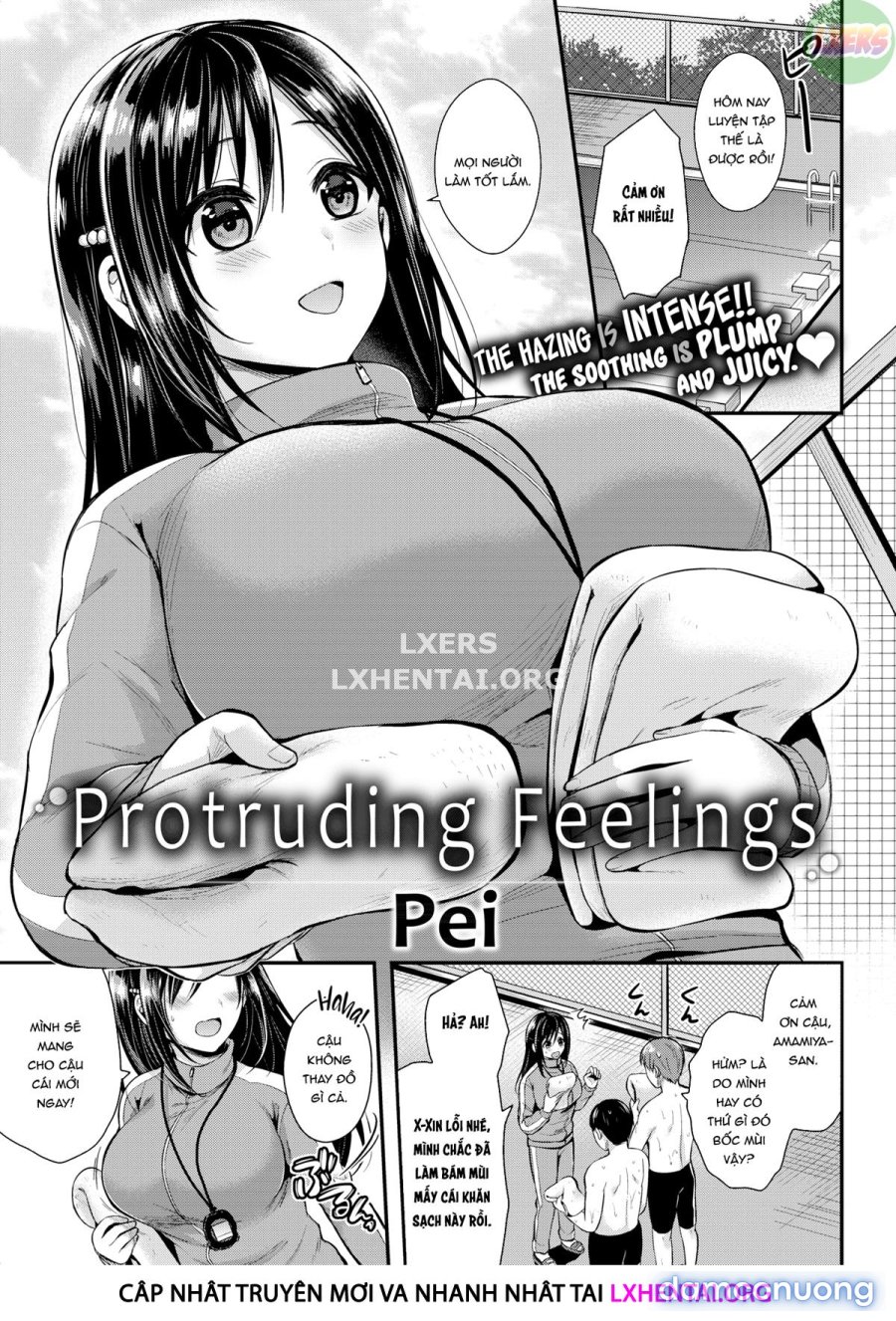 Hajirai Honey 