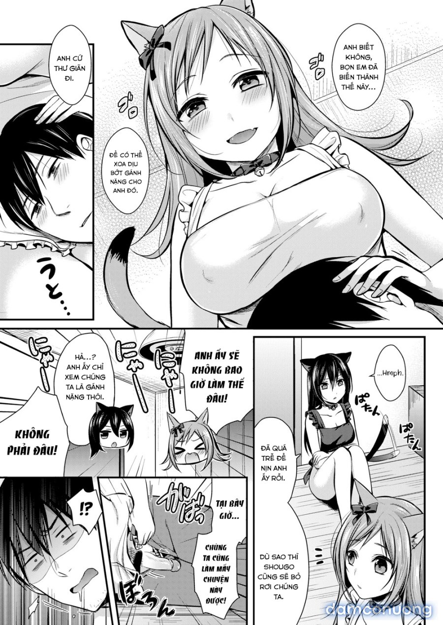 Hajirai Honey 