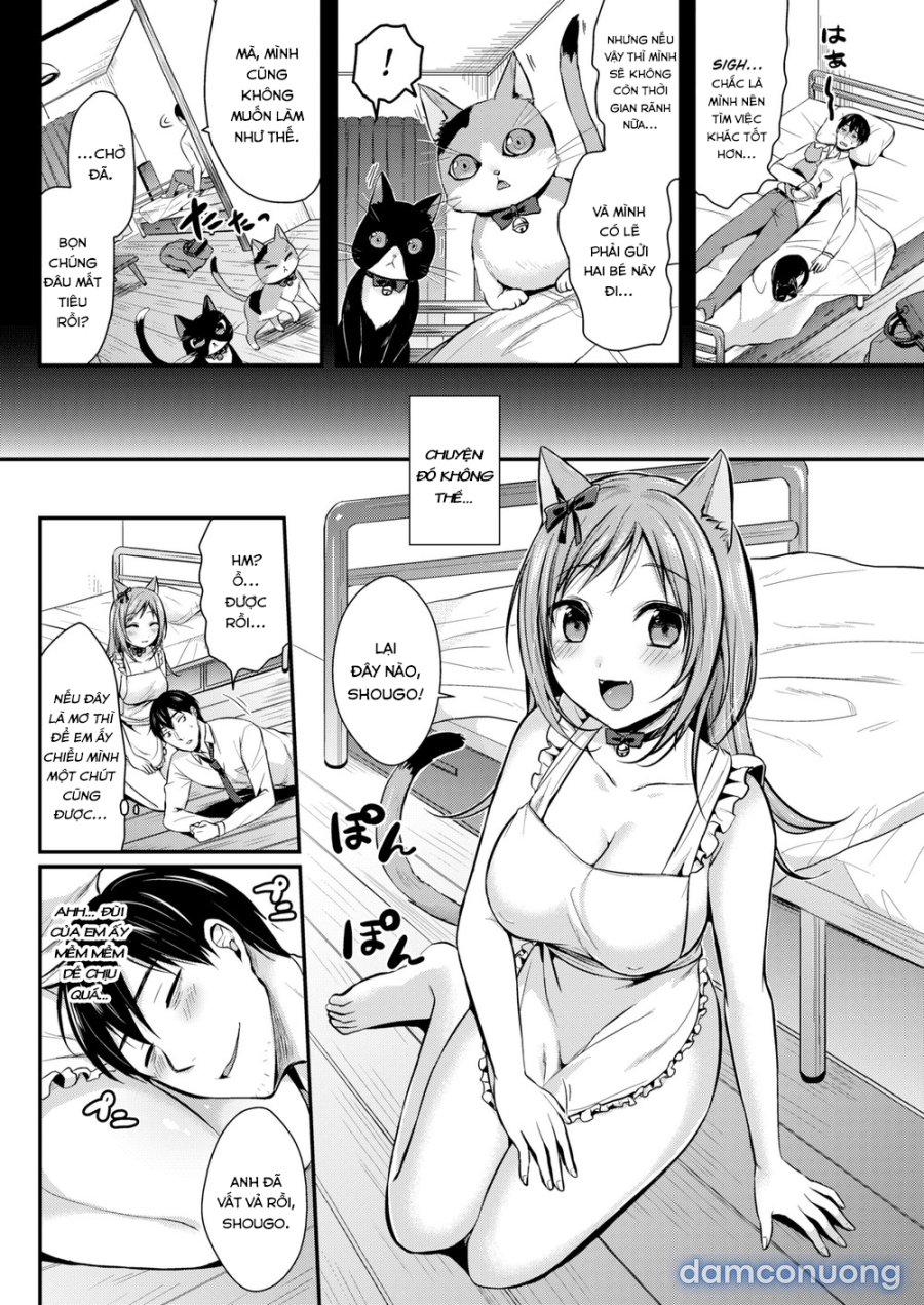 Hajirai Honey 