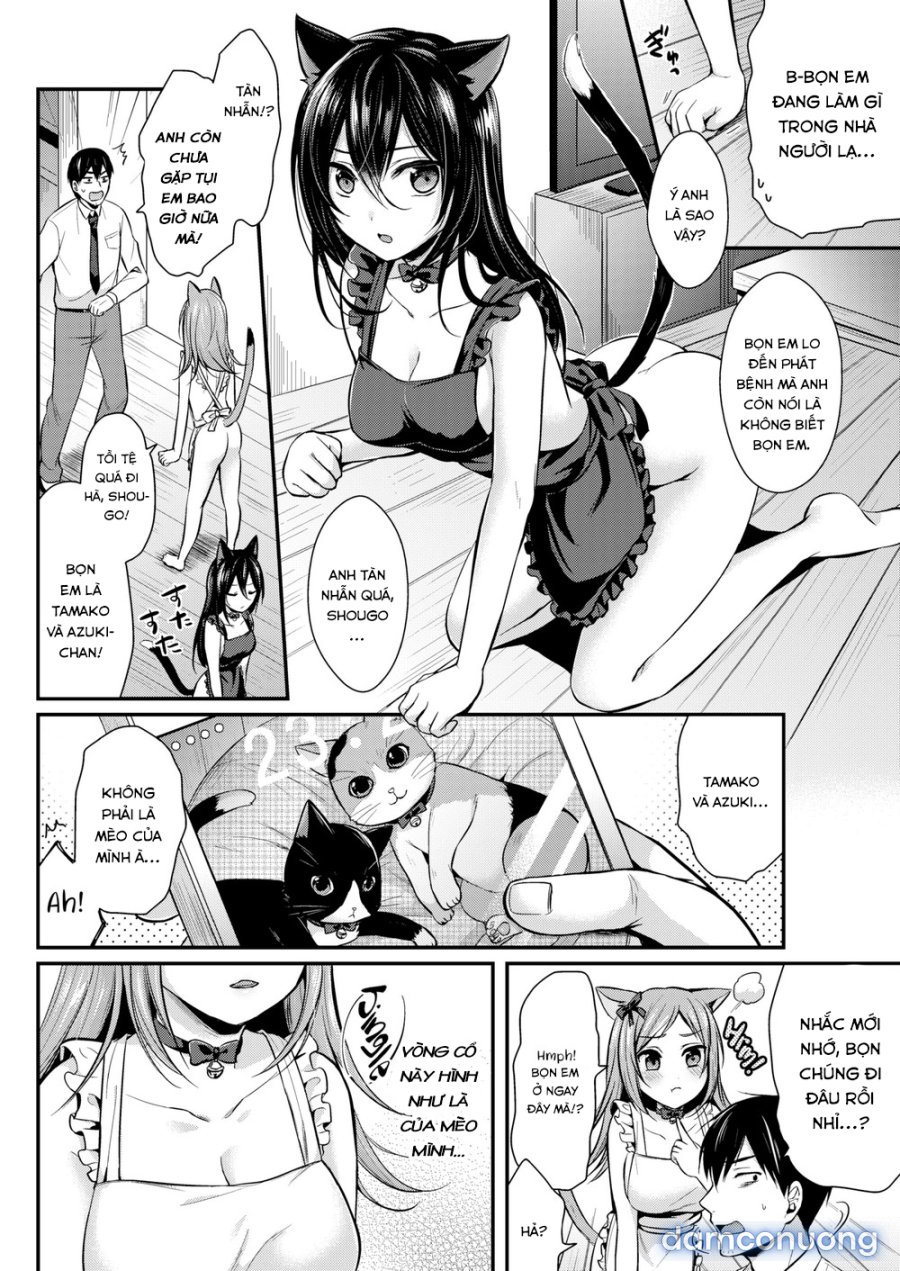Hajirai Honey 