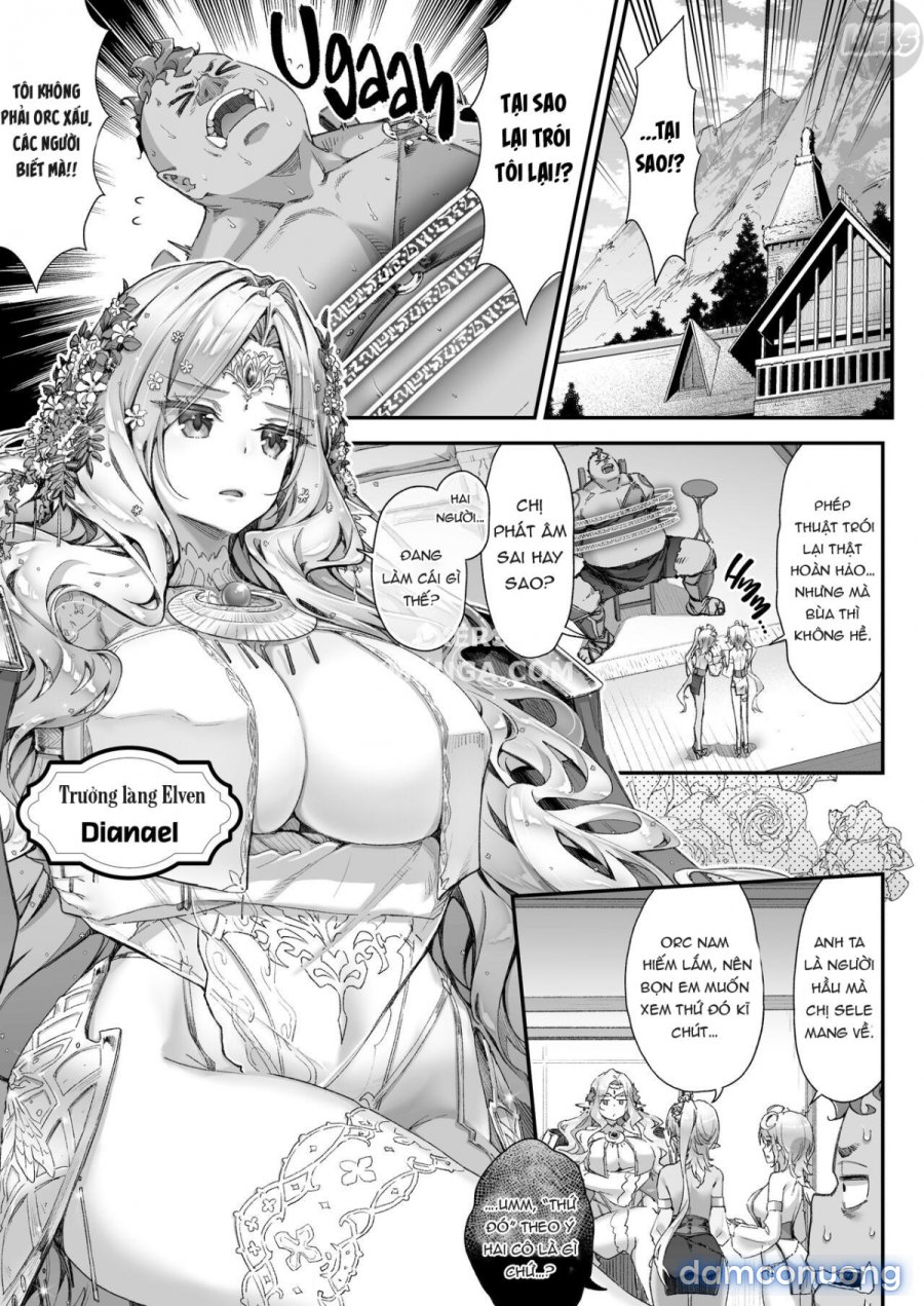Midara na Elf 