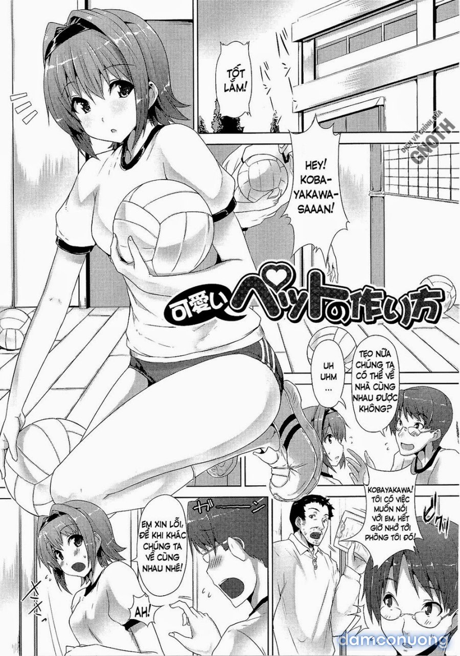 Zettai Nyuuiki 