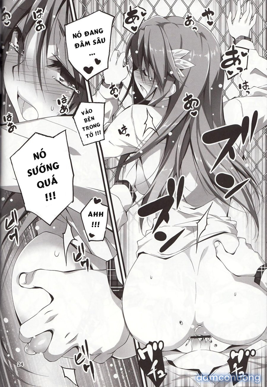 Koi Kan 