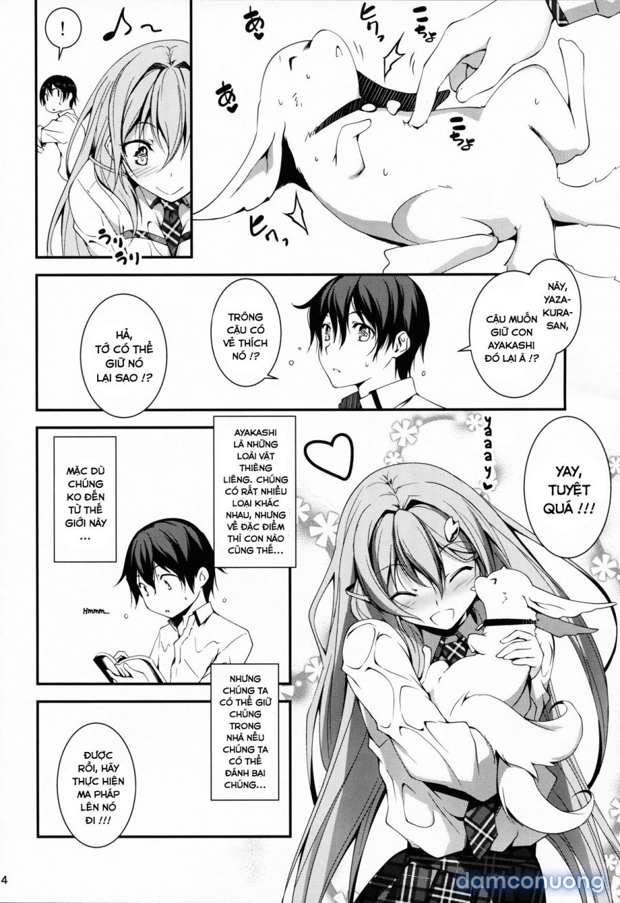 Koi Kan 
