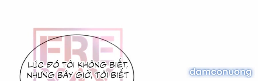 Văn Phòng Lãng Mạn 