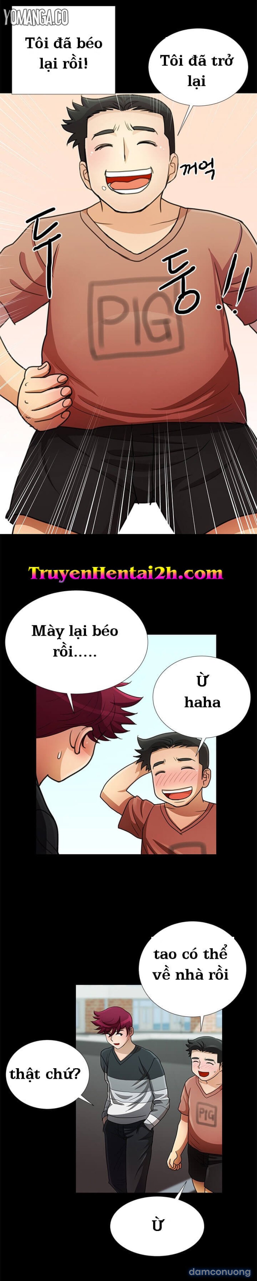 Chung Cư 