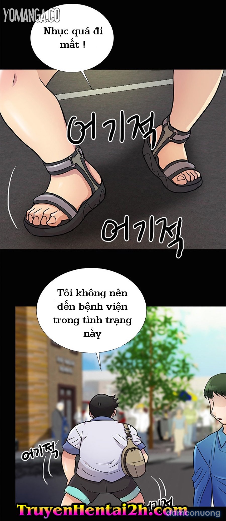 Chung Cư 