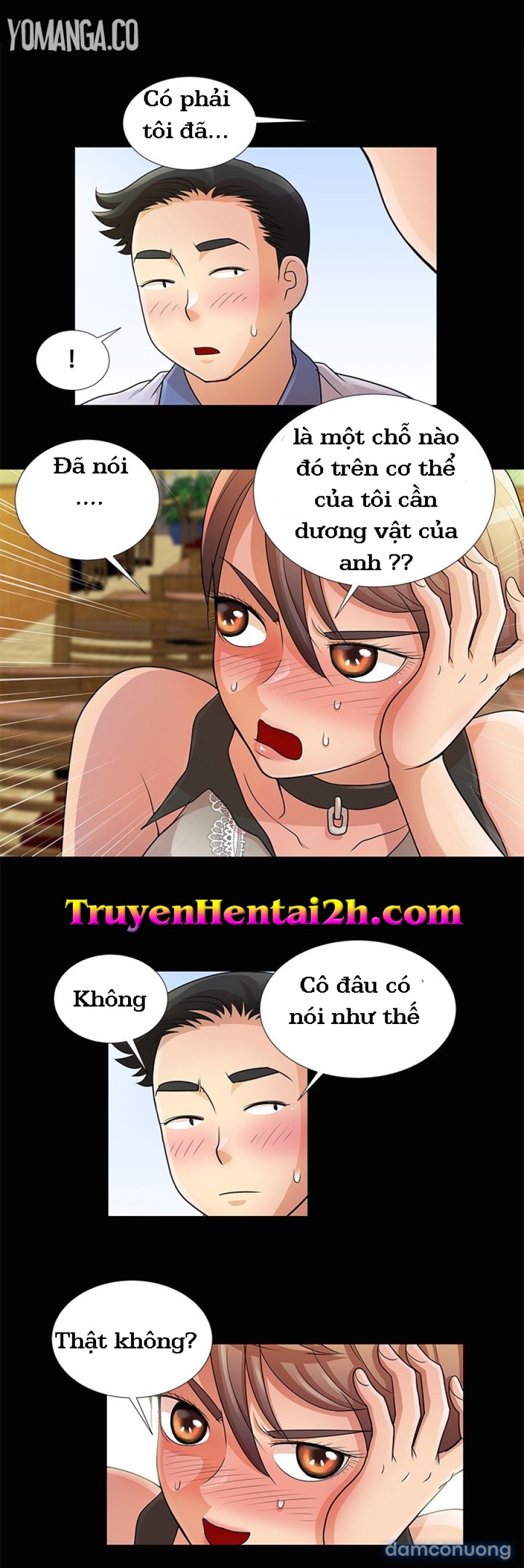 Chung Cư 