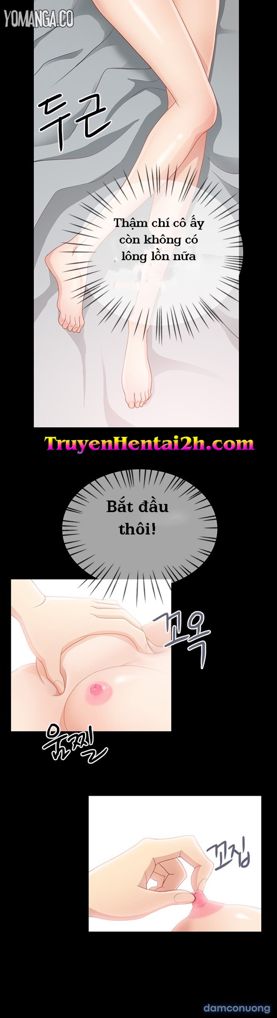 Chung Cư 