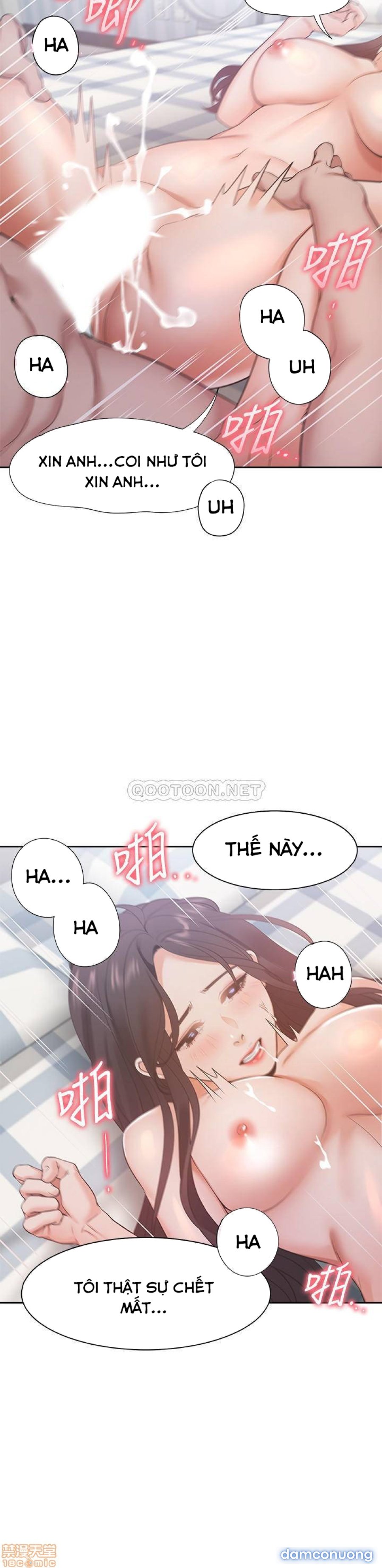 Khát Tình 