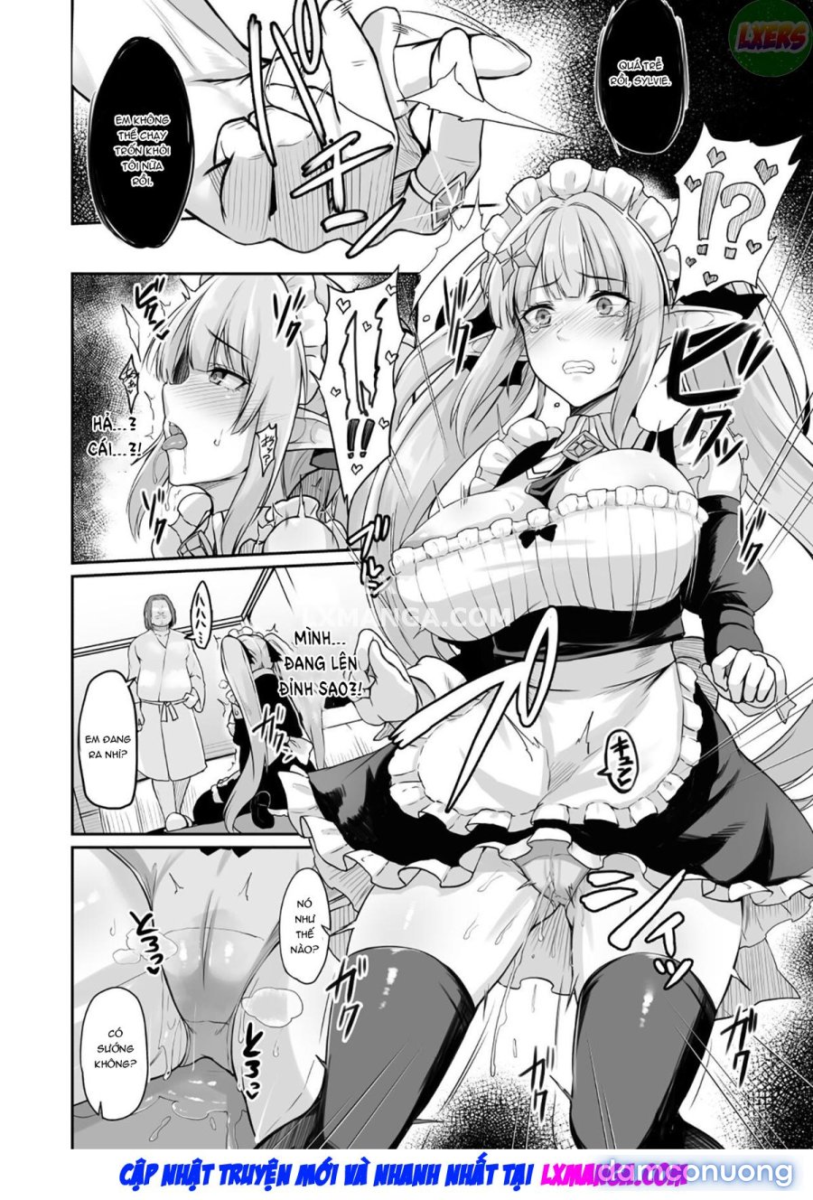 ELFIN QUEST #Maid 