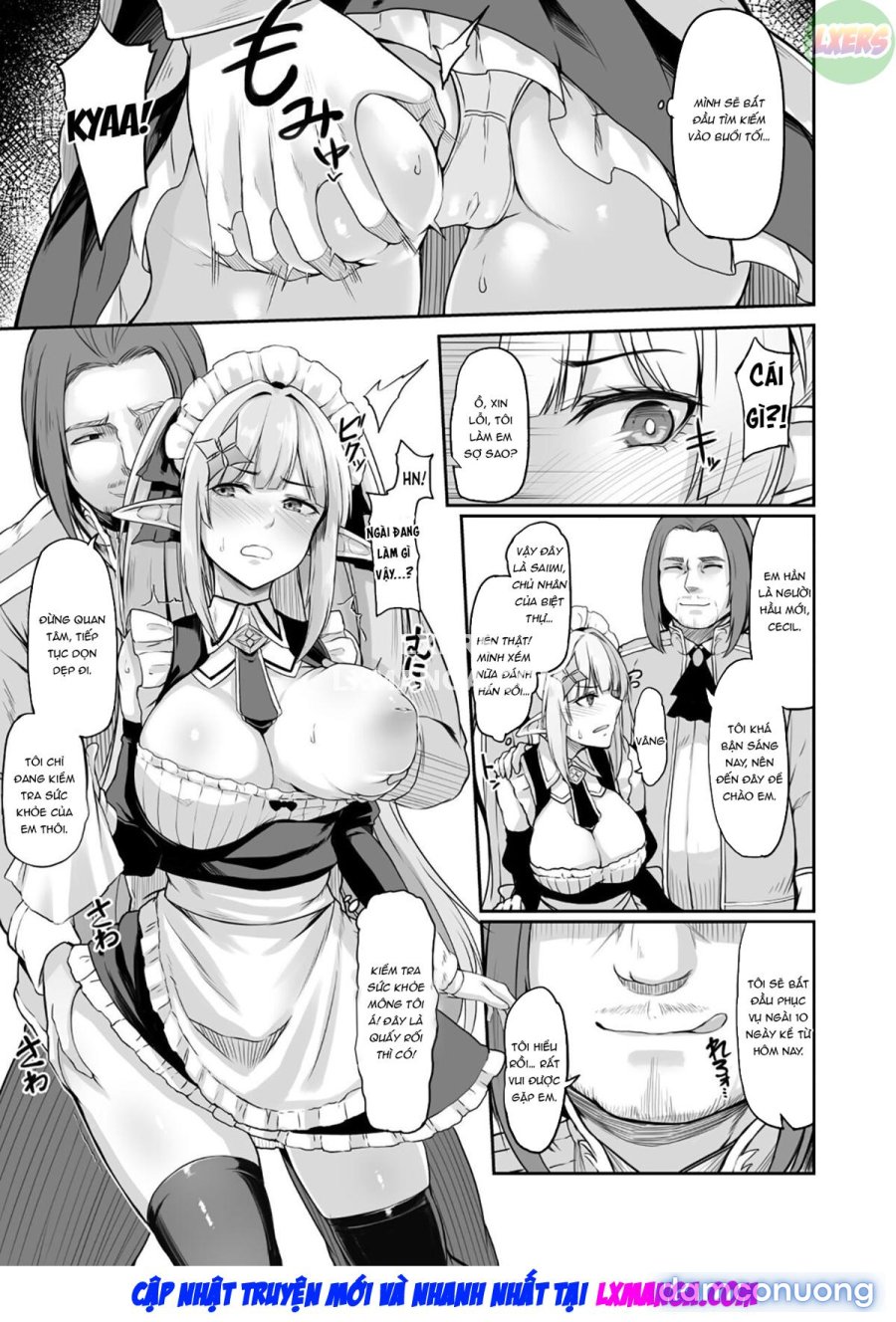 ELFIN QUEST #Maid 