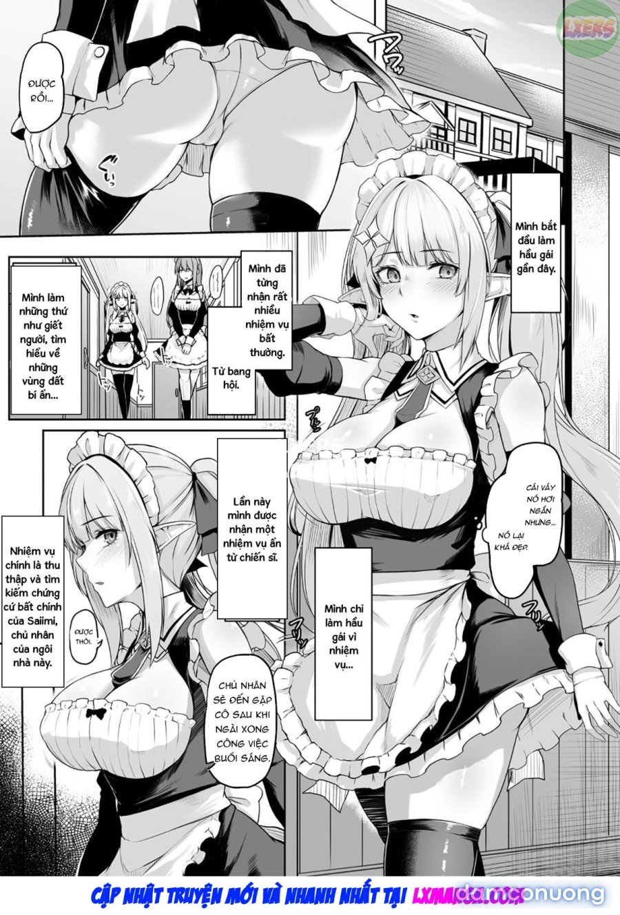 ELFIN QUEST #Maid 