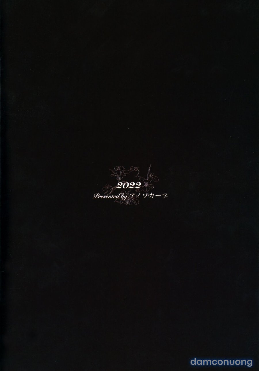 Hitozuma Futei Koubi Zuroku Aibiki Swapping/Reiko 