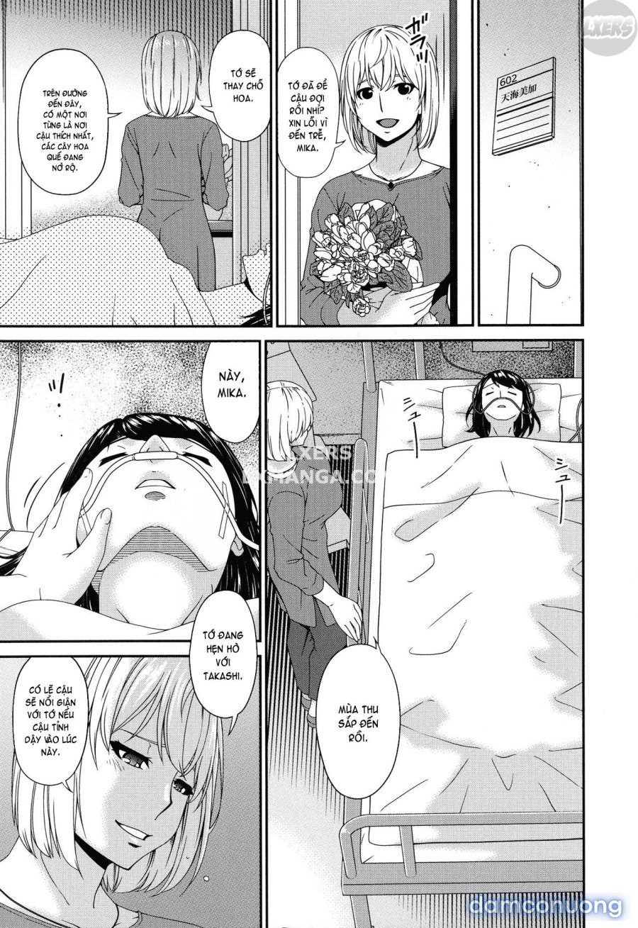 Madoromi Toromi 