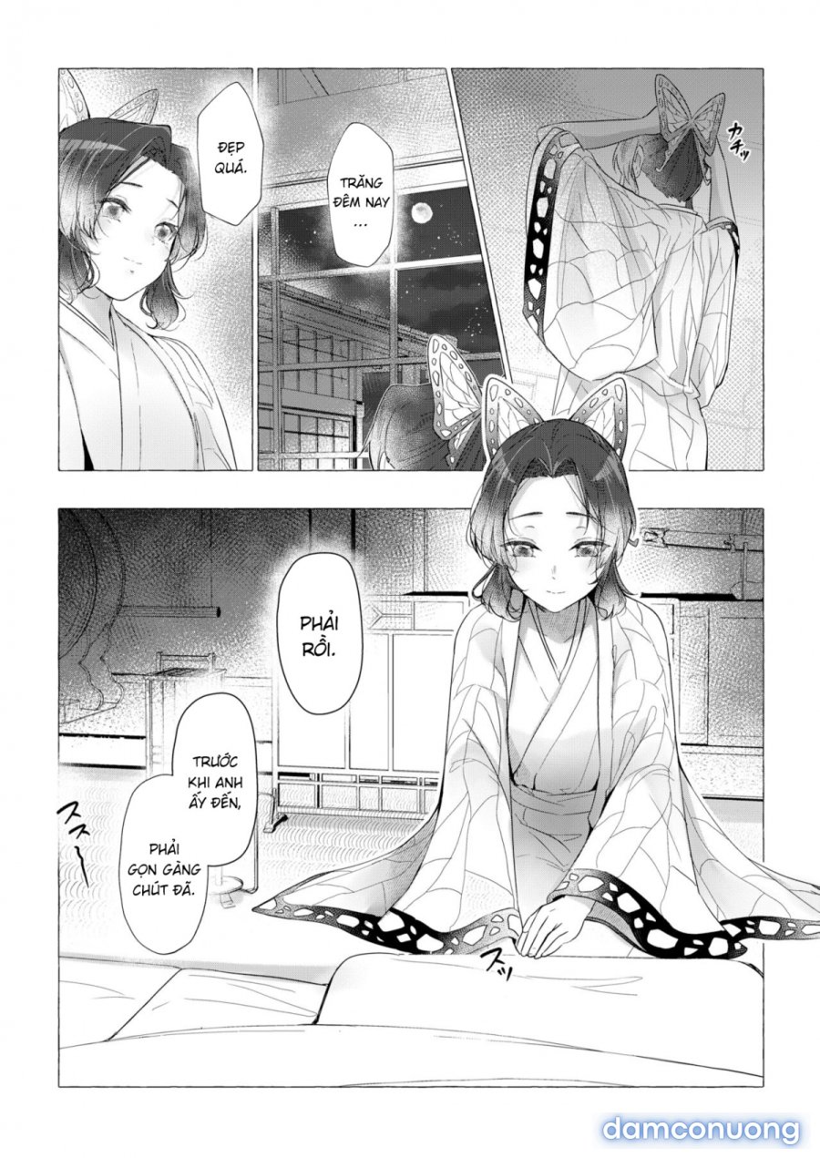 youchou 