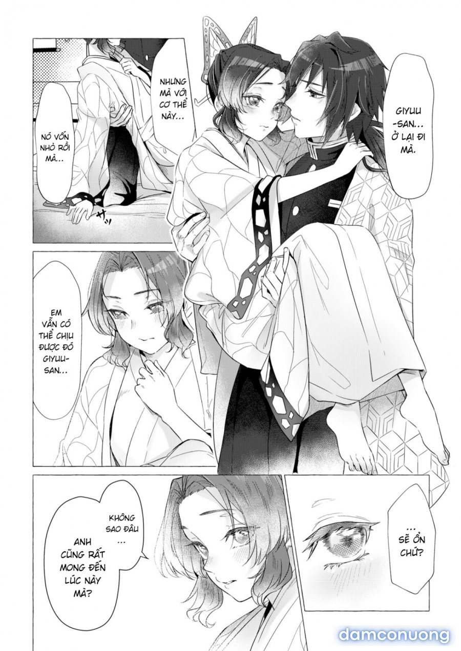 youchou 