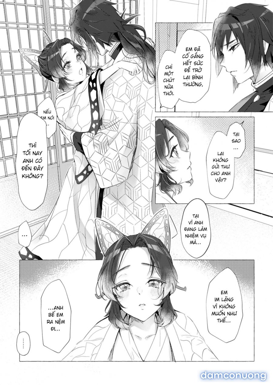 youchou 