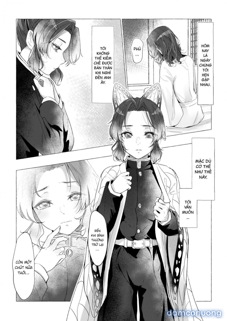 youchou 