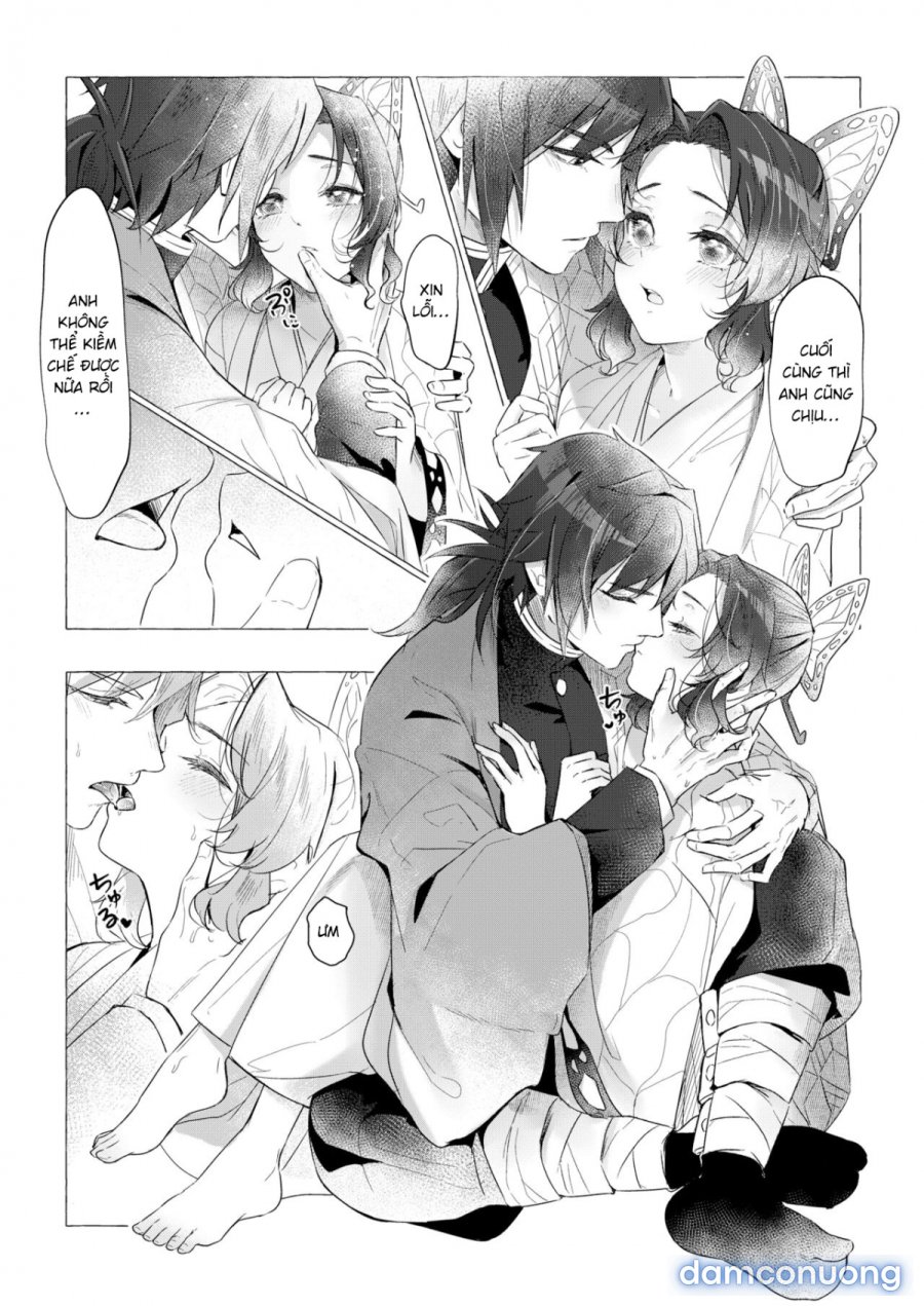 youchou 
