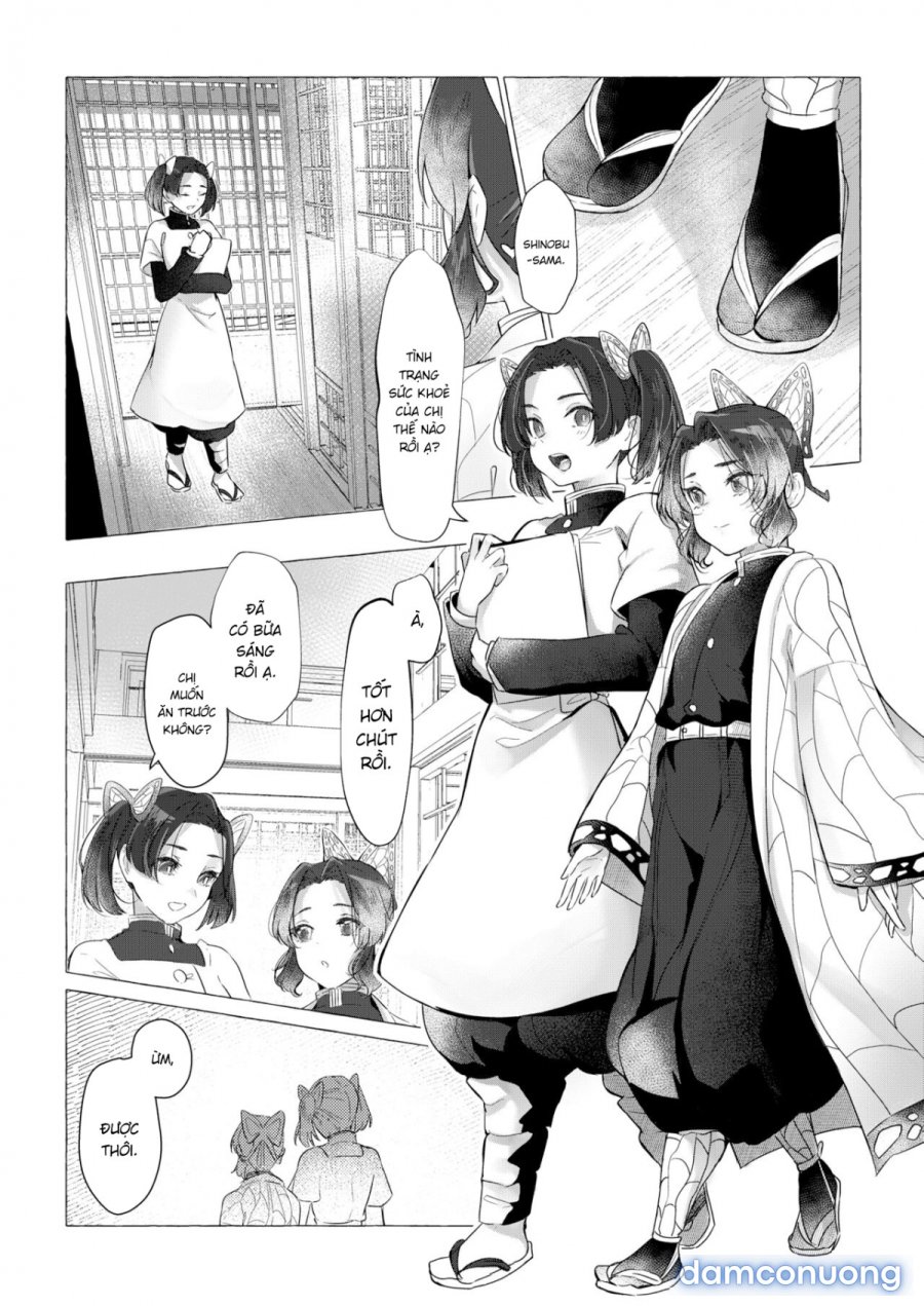 youchou 