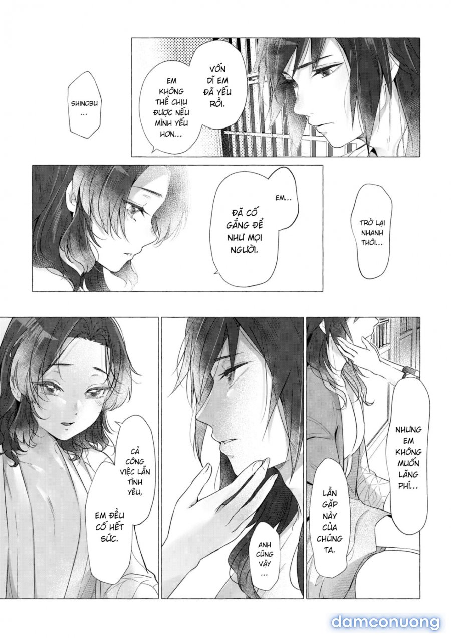 youchou 