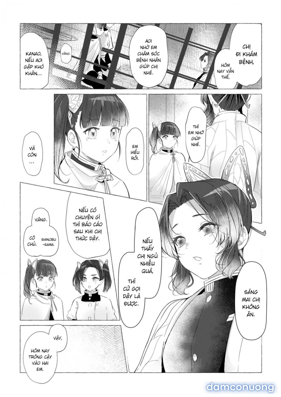 youchou 