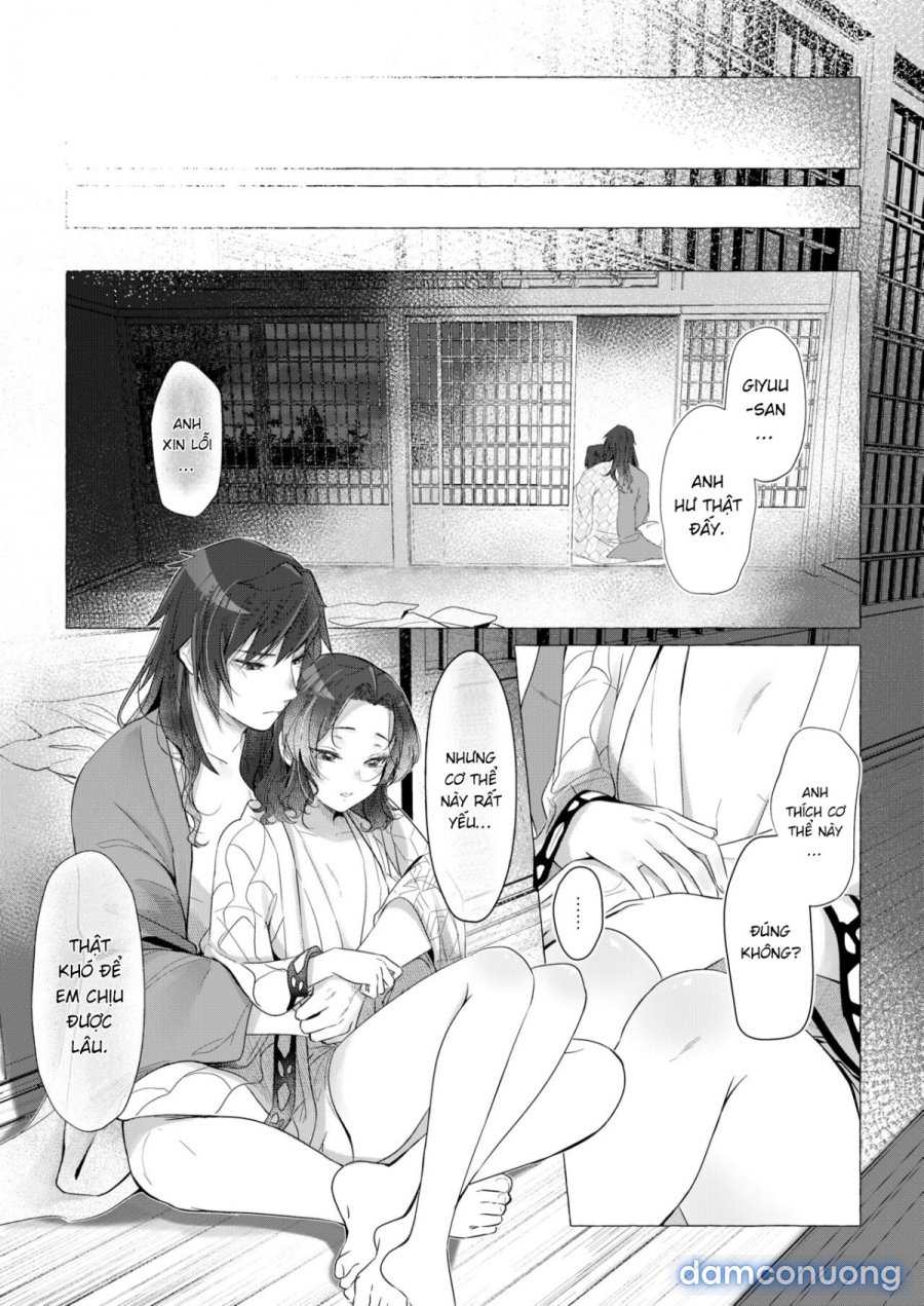 youchou 