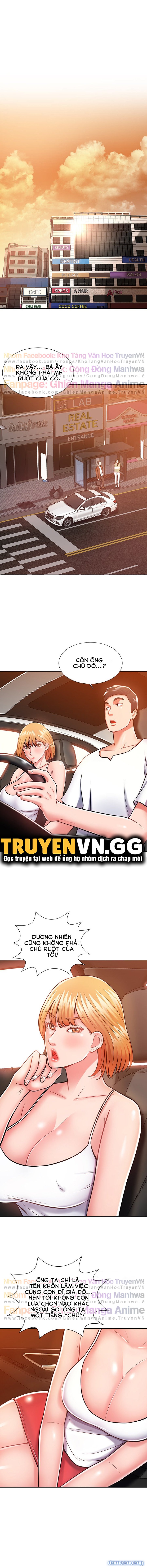 Thị Trấn Màu Hồng 