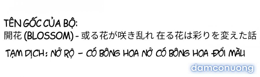 Bỏ việc công ty, tôi đi làm đĩ 
