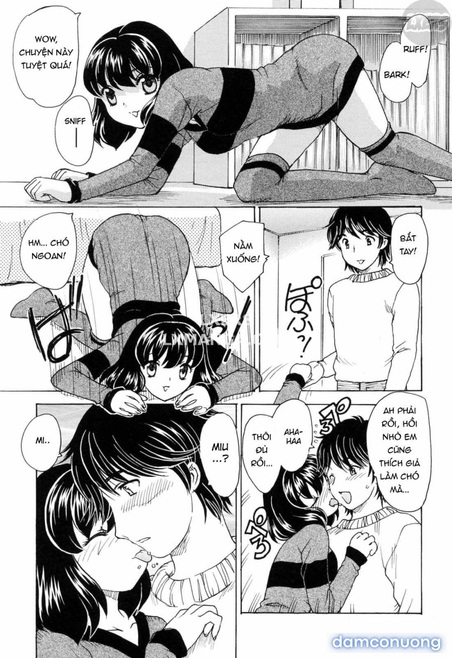 MAMAMA Shokai Genteiban 
