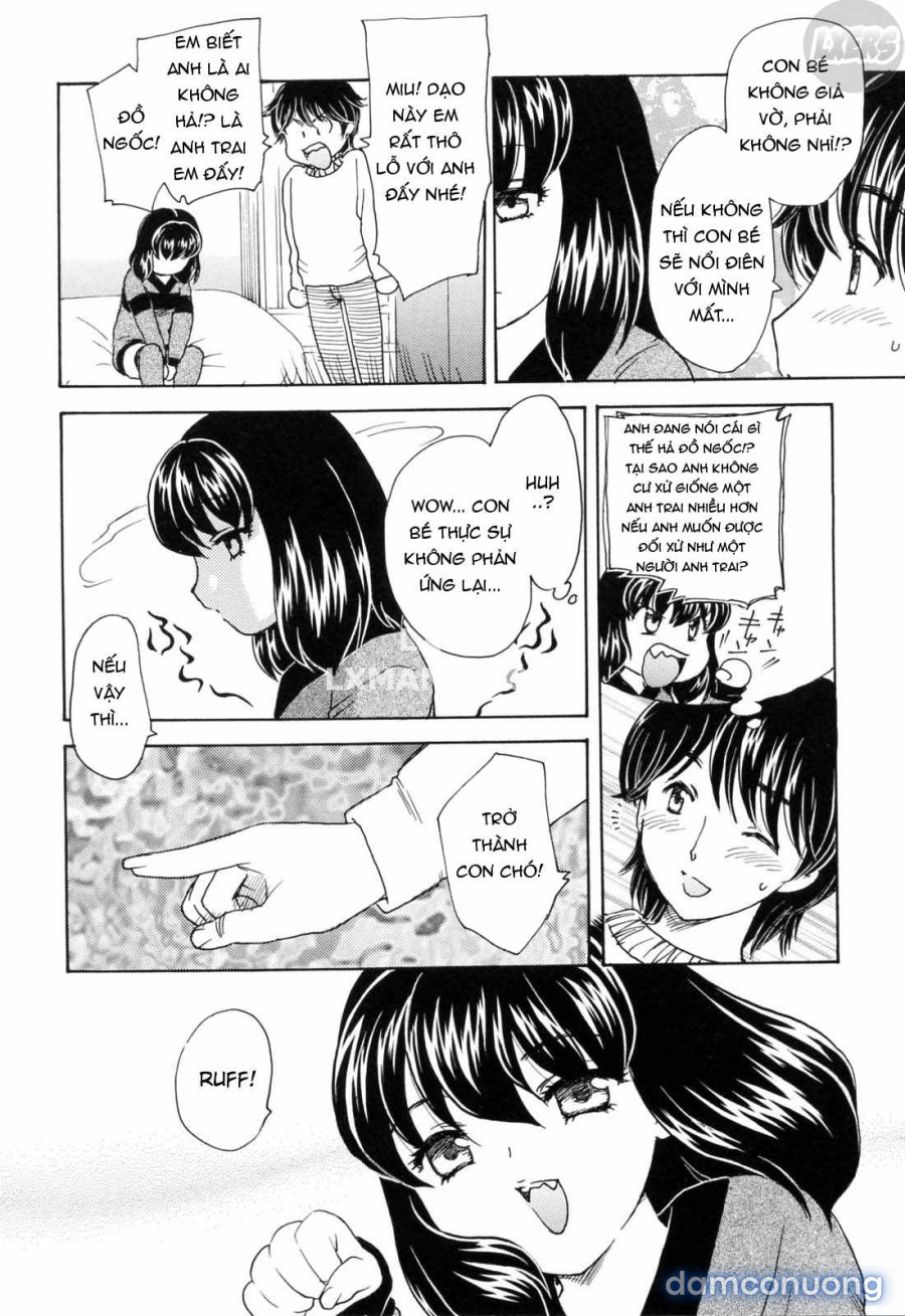 MAMAMA Shokai Genteiban 