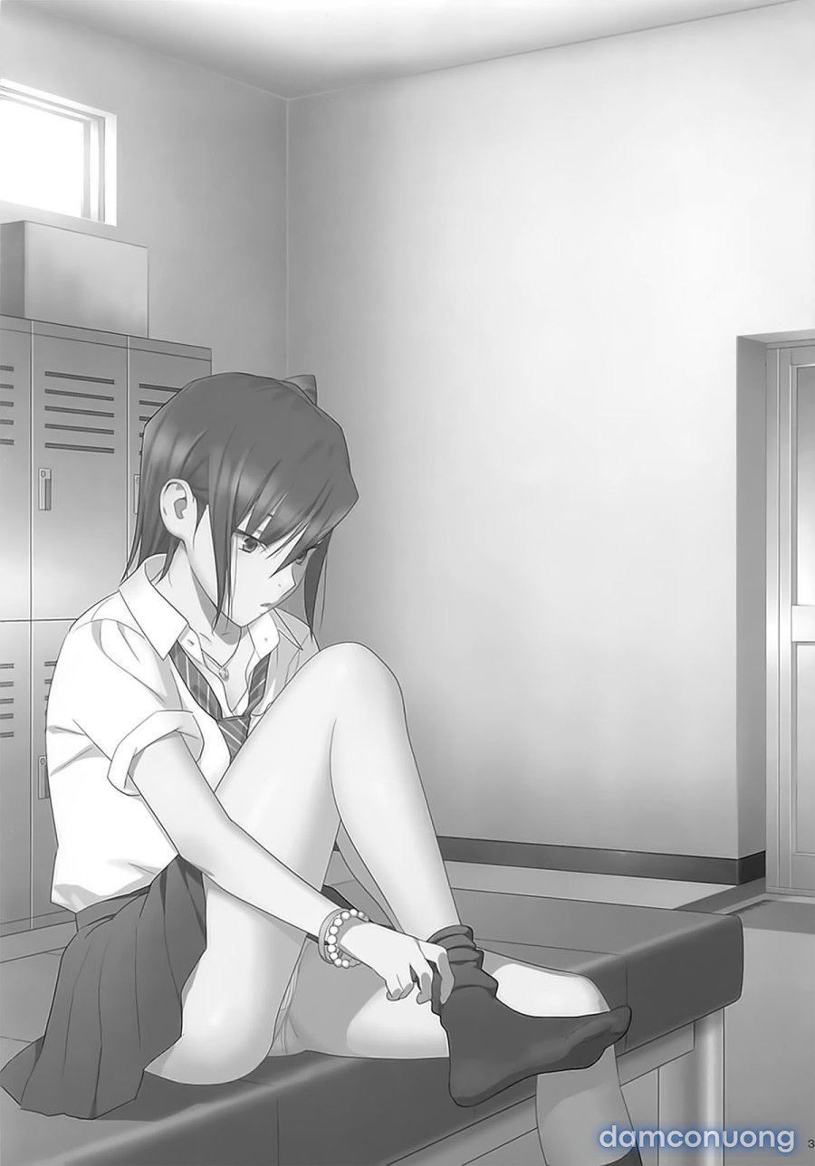Kaki Hoshuu 