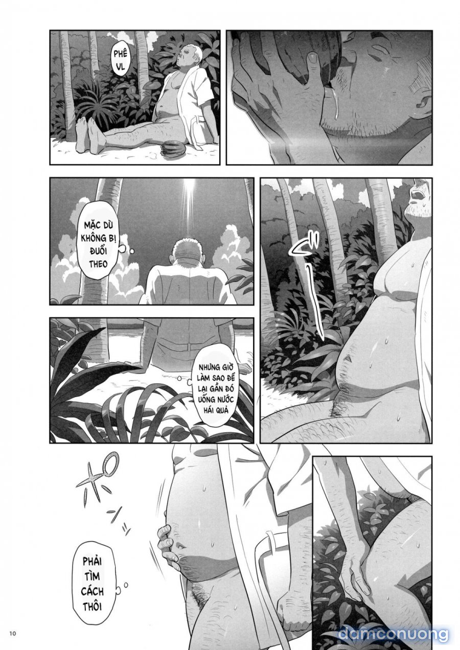 Kaki Hoshuu 