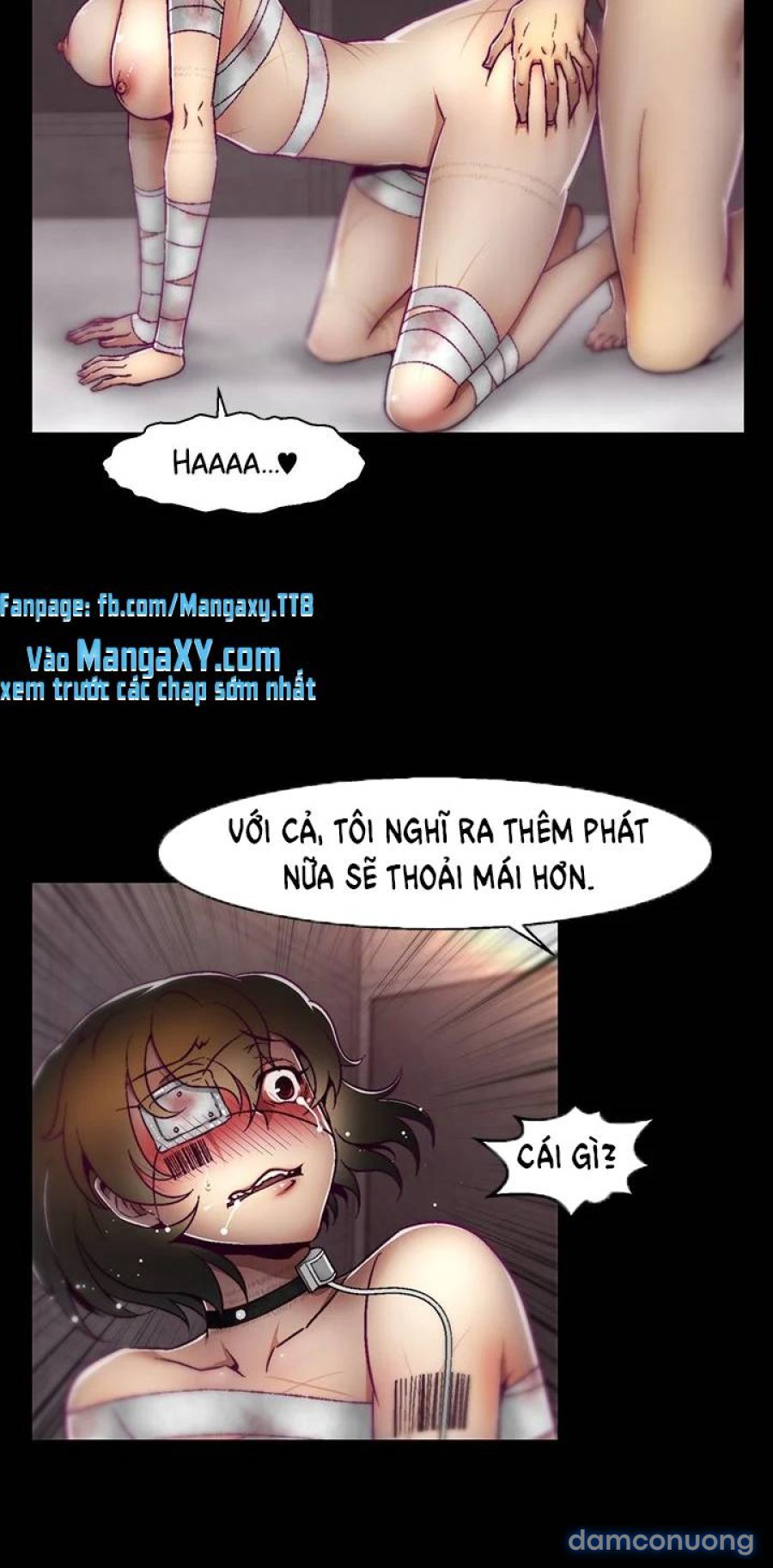 Trang Trại Nuôi Người 