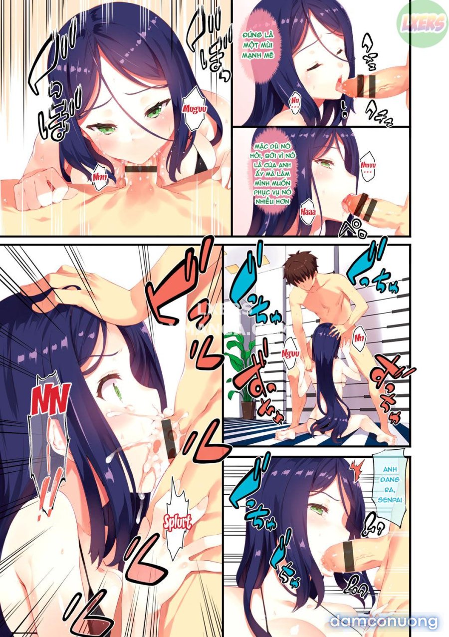 Kimisen 