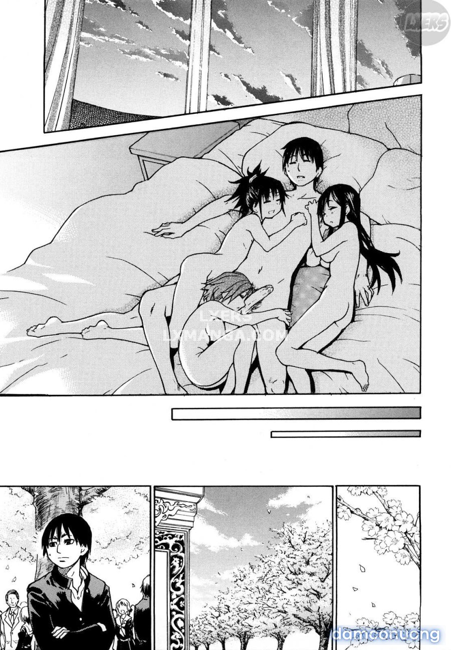 JC Ecchi 
