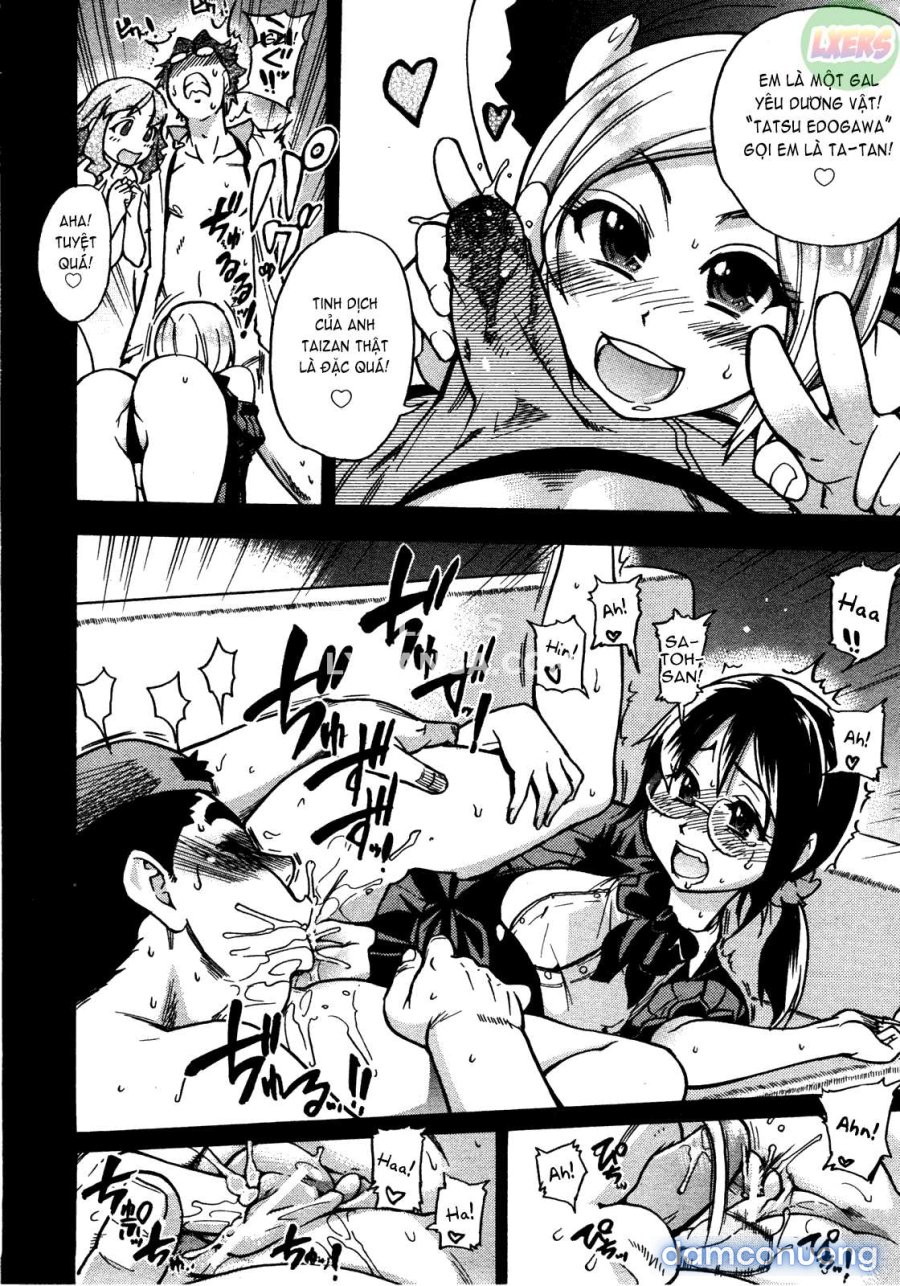 JC Ecchi 