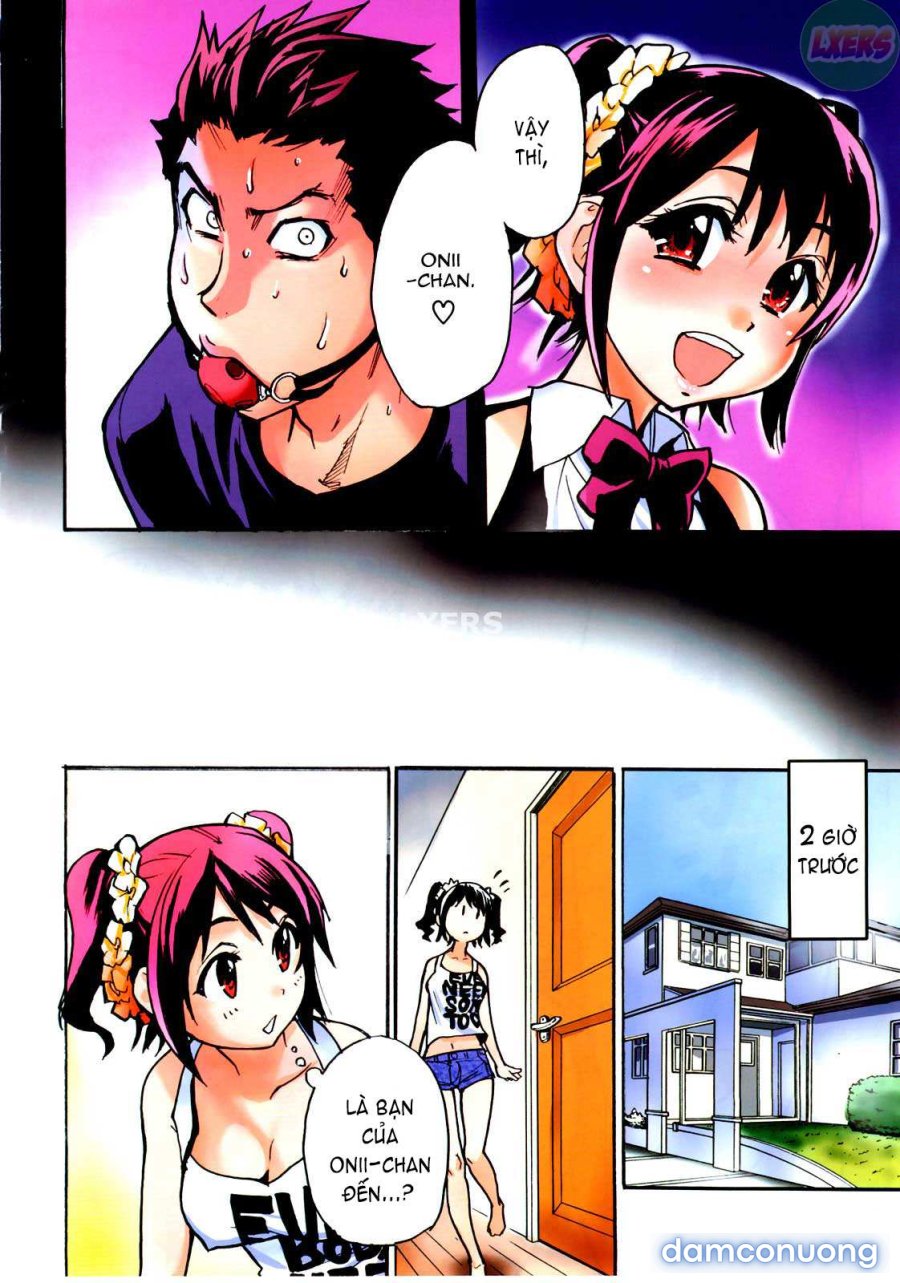 JC Ecchi 