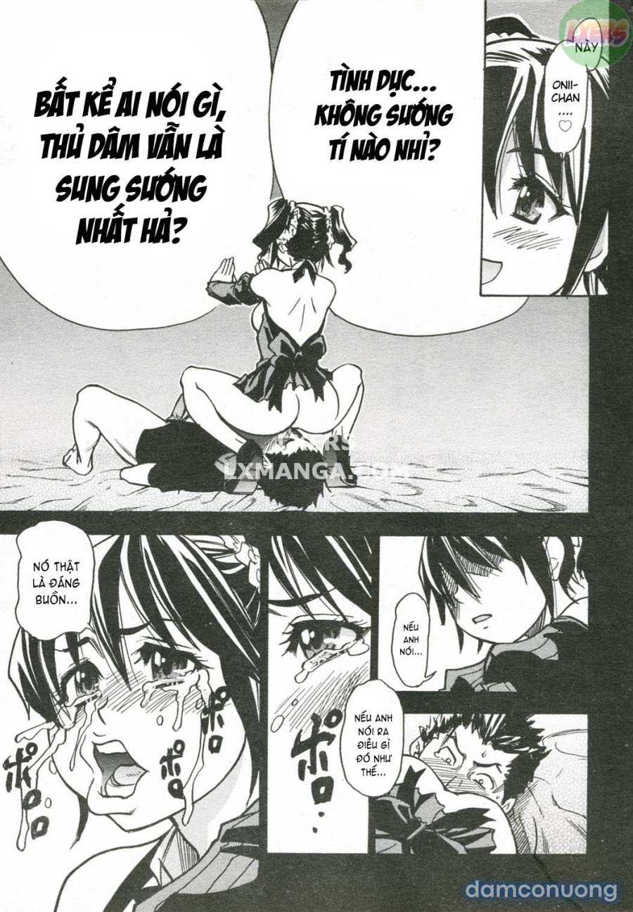 JC Ecchi 