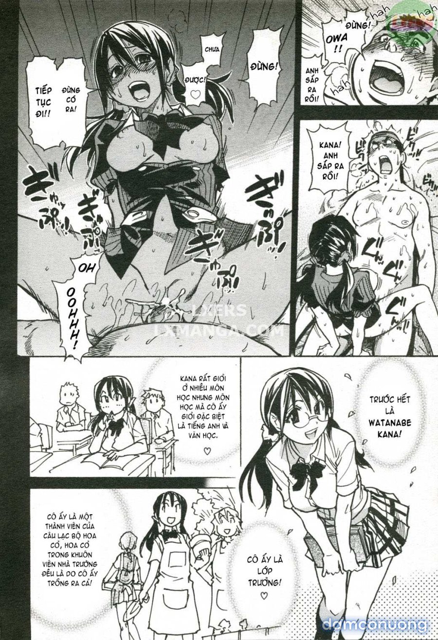 JC Ecchi 