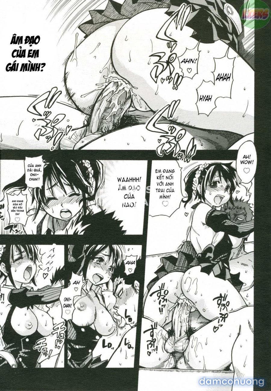 JC Ecchi 