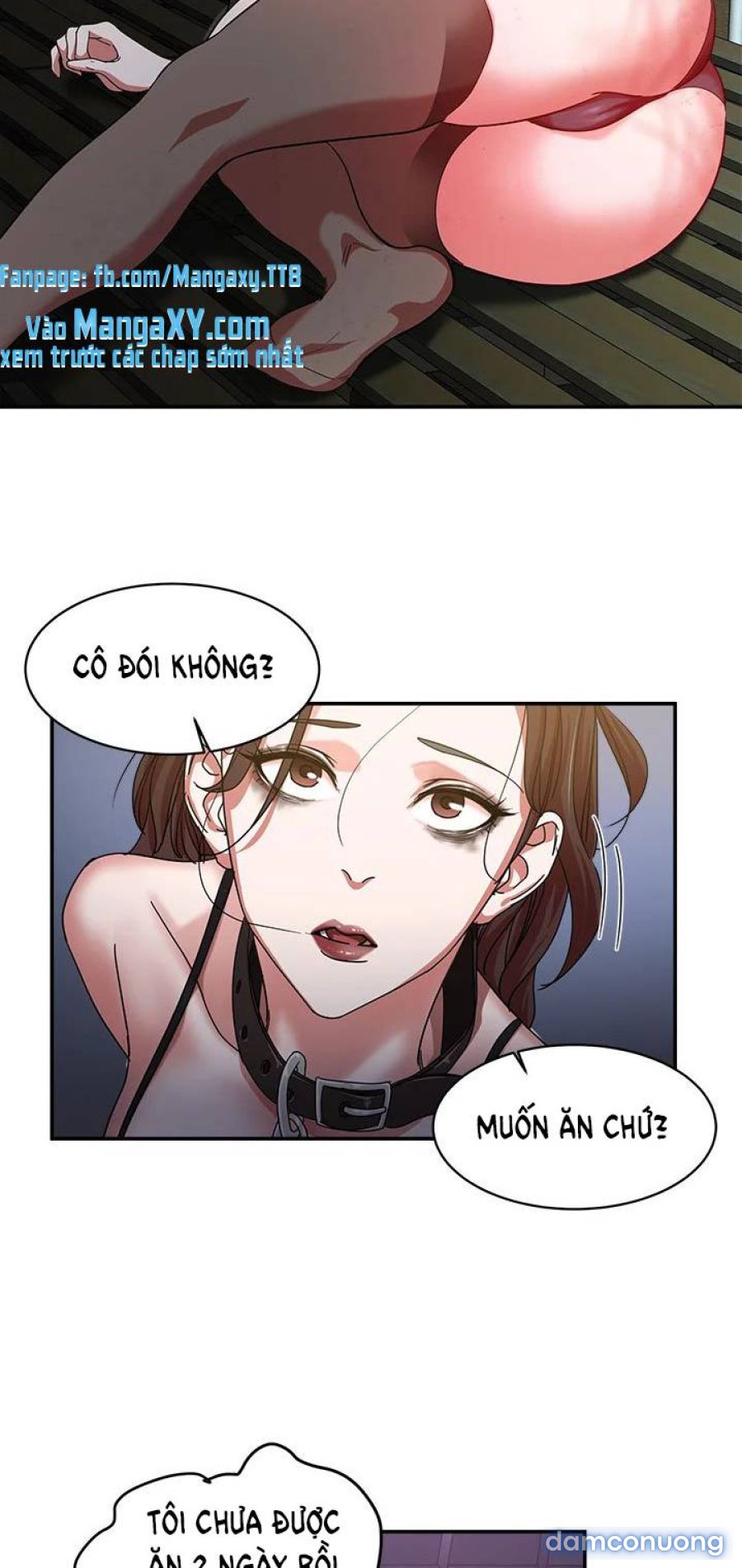 Lợn Người 
