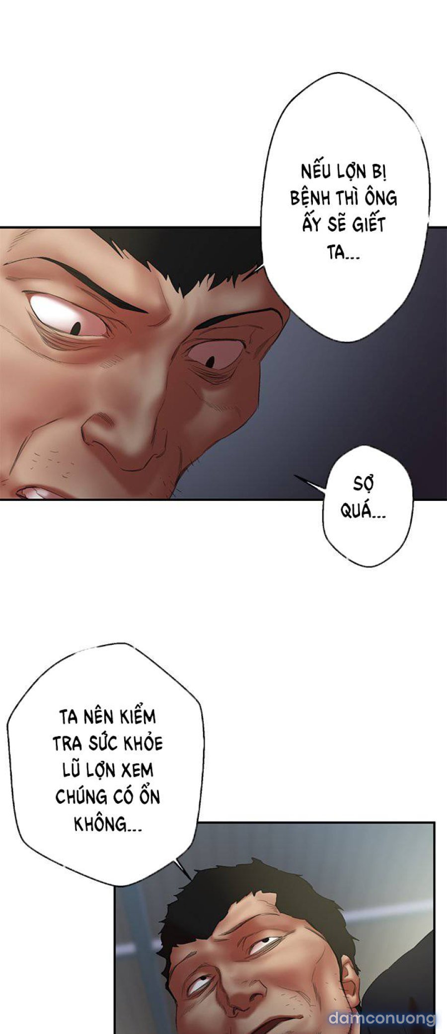 Lợn Người 
