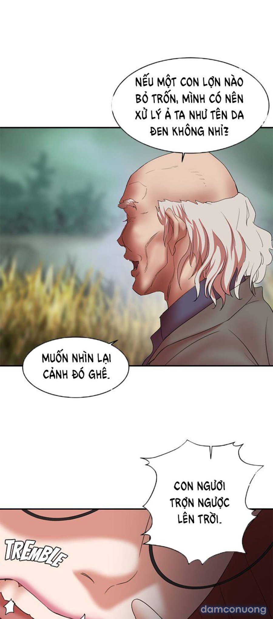 Lợn Người 