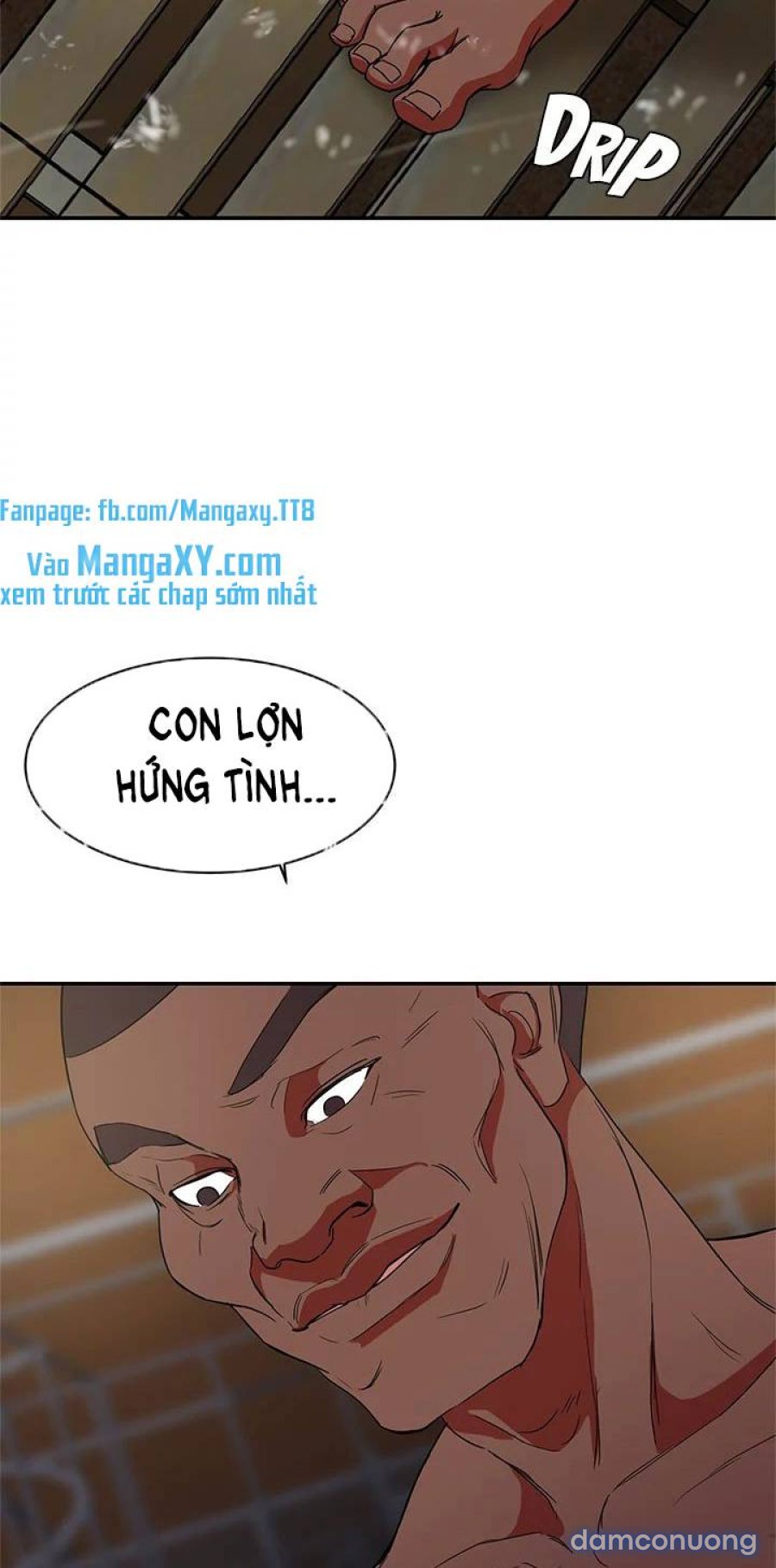 Lợn Người 