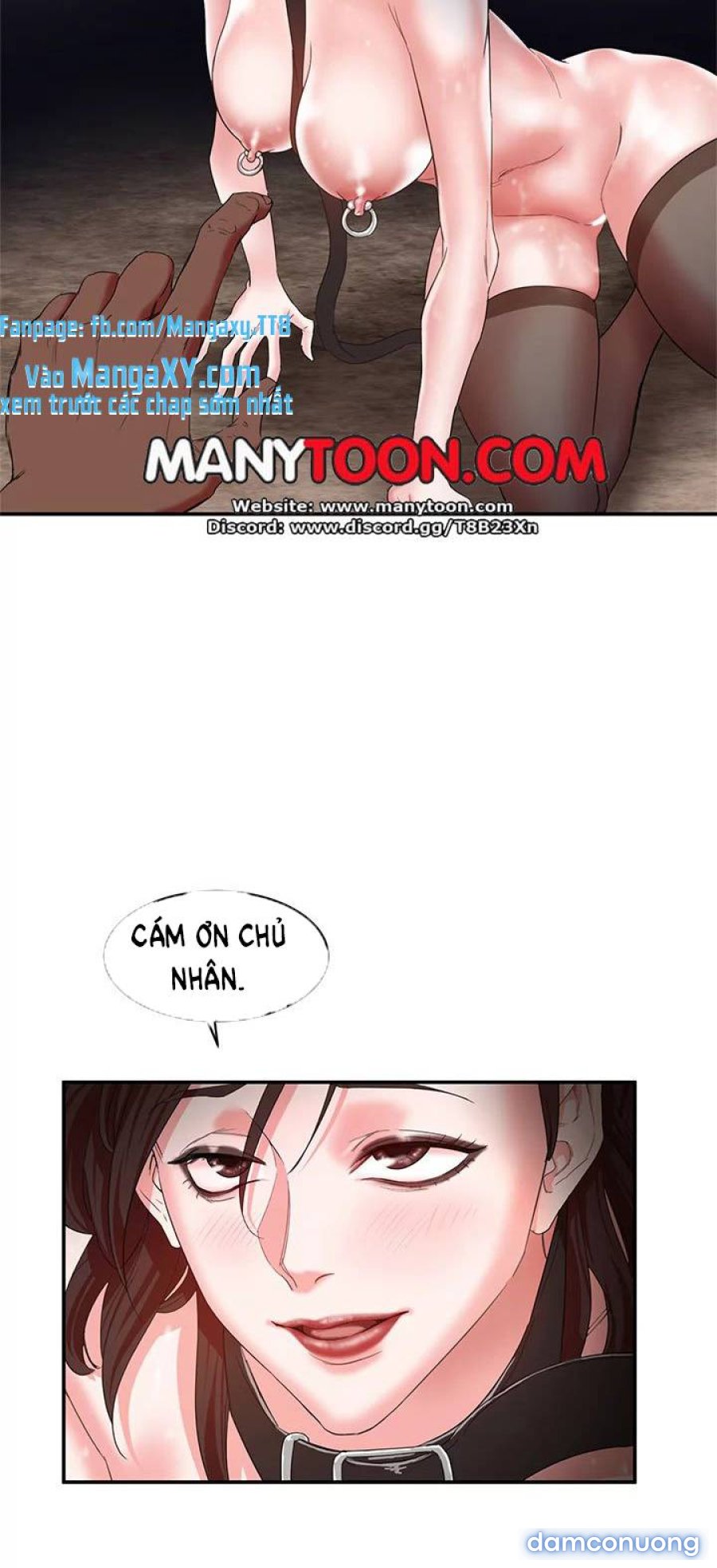 Lợn Người 
