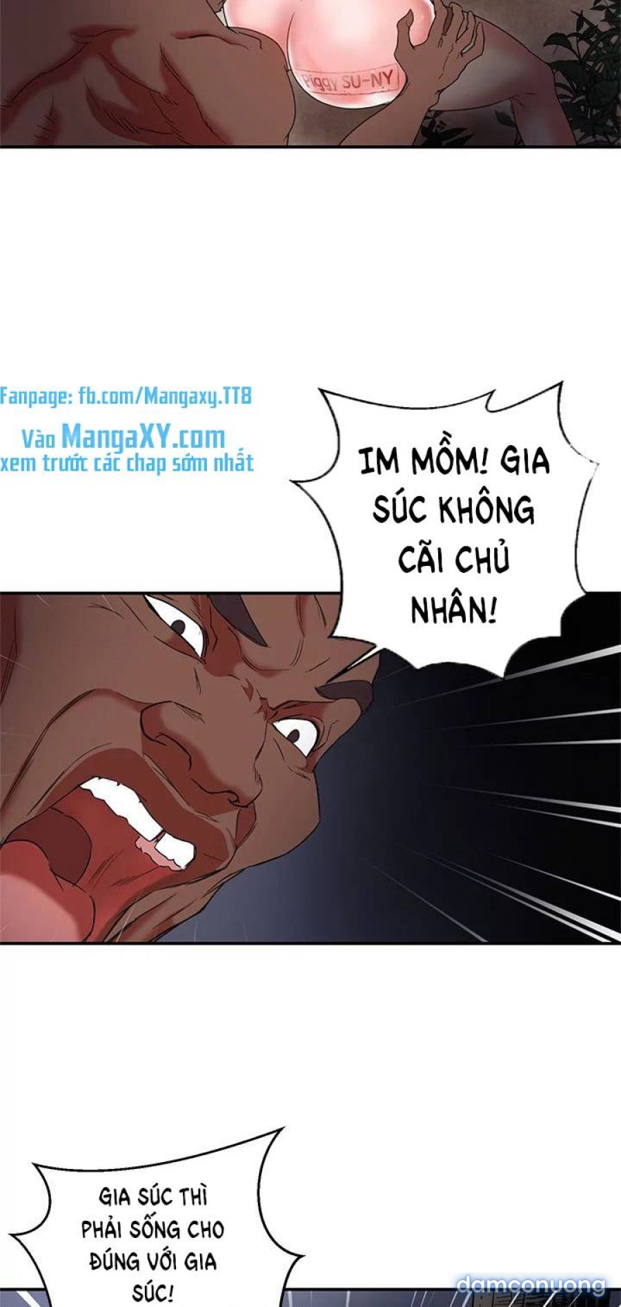 Lợn Người 